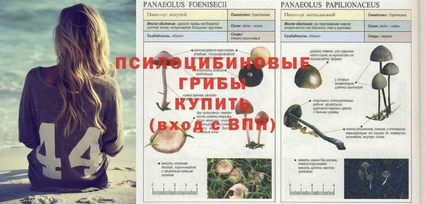 тгк Балахна
