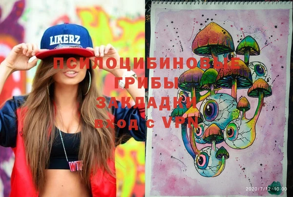 спайс Баксан