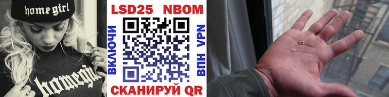 KRAKEN онион  Новоржев  Наркотические марки 1,5мг  где продают наркотики 