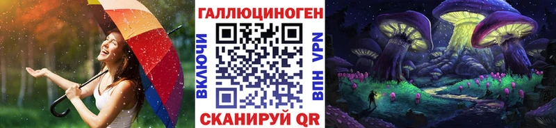 как найти закладки  Новоржев  маркетплейс телеграм  Галлюциногенные грибы прущие грибы 