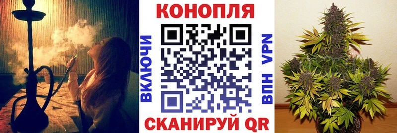 Шишки марихуана план  Новоржев 